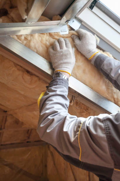 Best Residential Insulation in Catalina, AZ